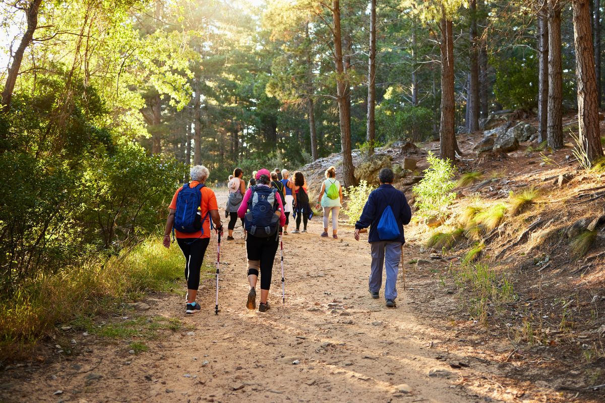 ハイキングコースのような山道を登山する人々の後ろ姿