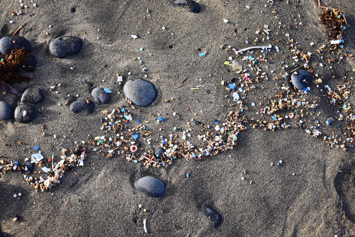 砂浜に落ちているたくさんのマイクロプラスチック
